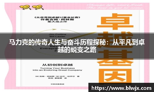 马力克的传奇人生与奋斗历程探秘：从平凡到卓越的蜕变之路